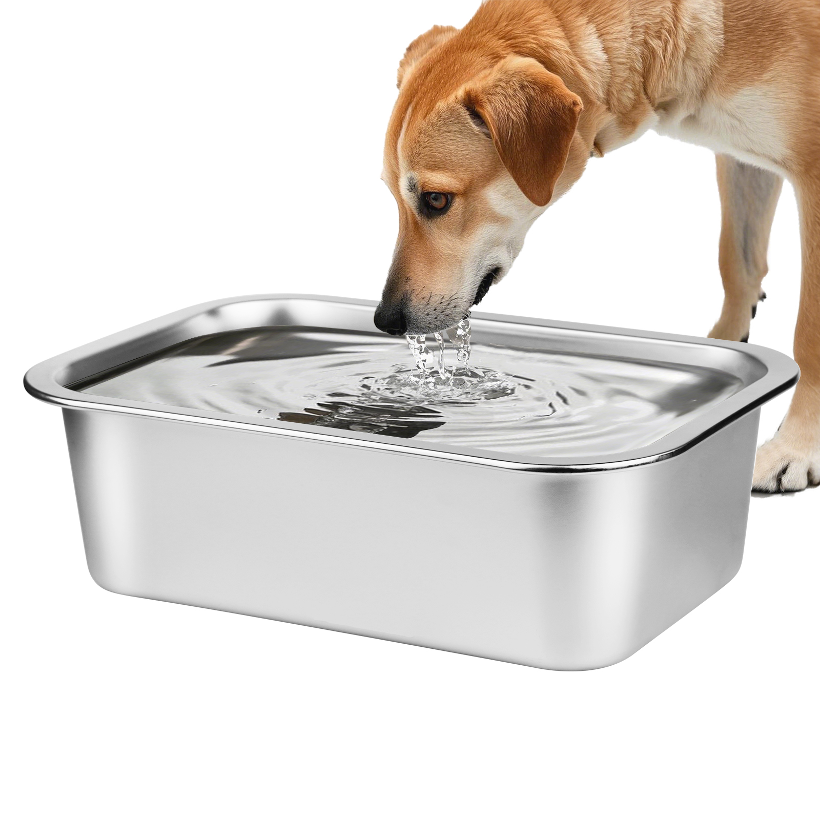 Ohtomber Stainless Steel Dog Bowl - 2.65